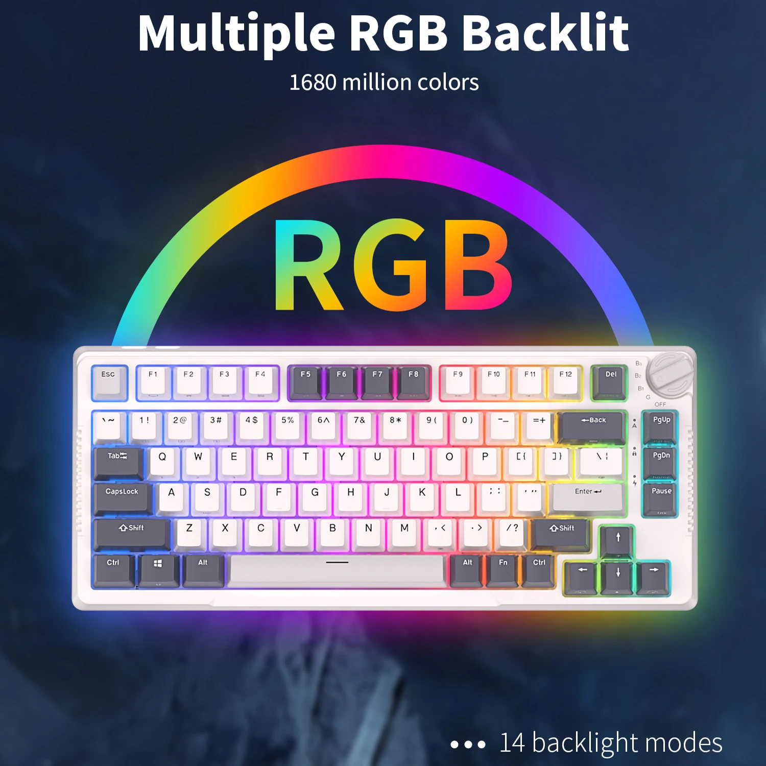 RK H81 Royal Kludge 개스킷 구조 한국어 3중 모드 기계식 키보드 81 키 80% RGB 백라이트 2.4G 무선 블루투스 핫스왑 가능 게이머 키보드(더스트 커버 포함)