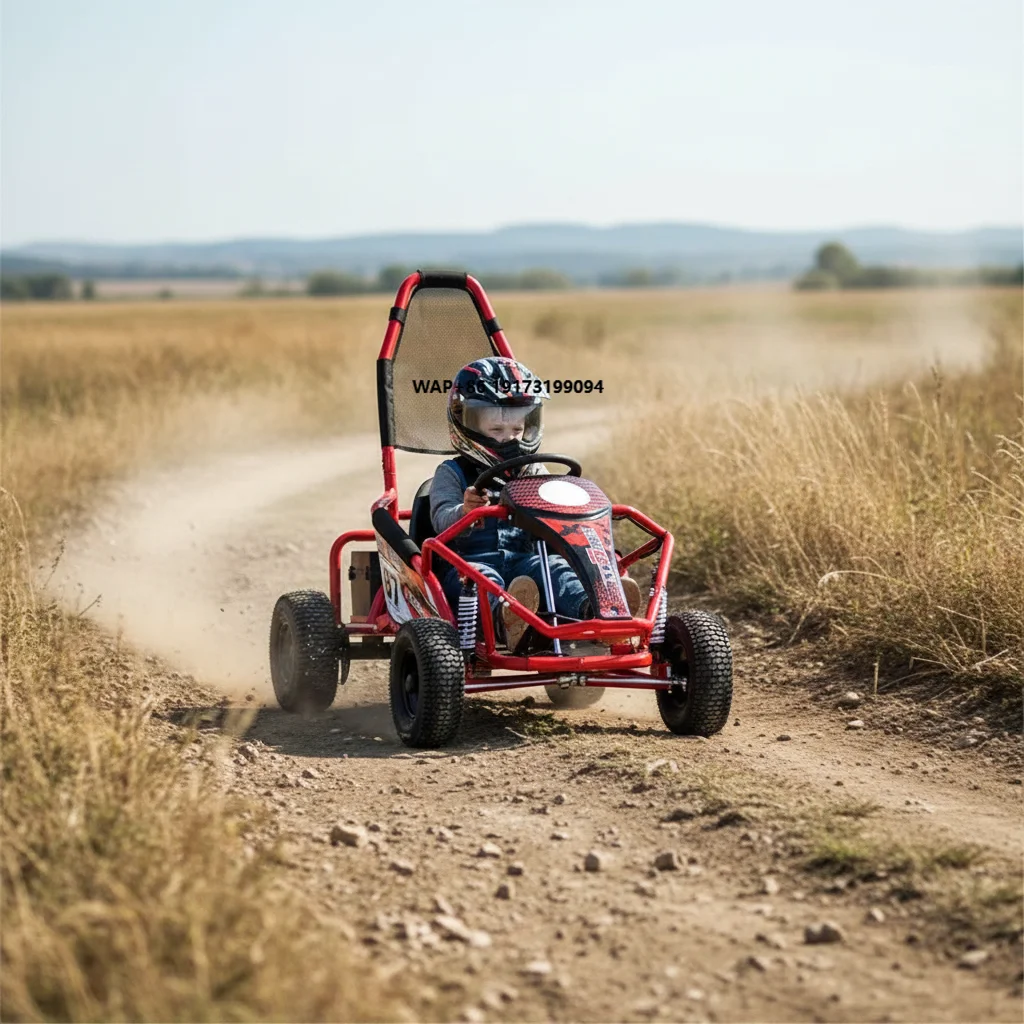 Professional Rear Fork Racing Chassis Car Reinforced Double Girder Frame Electric Kart with Off-road Tires 40km/h Max Speed