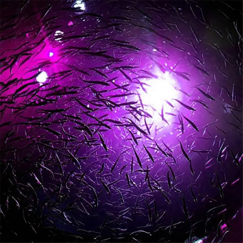 LED Mini Deep Sea Underwater Tackle Fishing Squid Fish Lure Drop Light Flashing Lamp Waterproof Fishing Night Lights River Lake