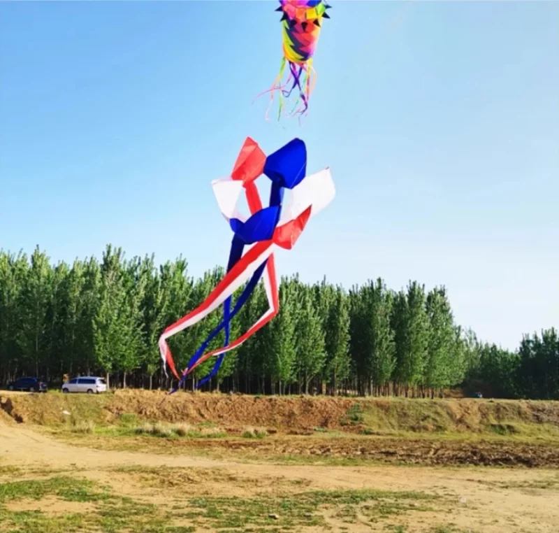 무료 배송 600cm 무지개 연, 윈드삭 연, 대형 연, 성인용 연, 릴, 립스탑 나일론 연, 바람 연, 박쥐 연, 꼬리 연