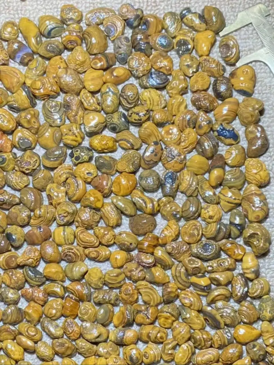 277pcs/lot boutique natural three-dimensional relief surface coin eye stone loose beads wholesale Gobi agate grain Pretty rare