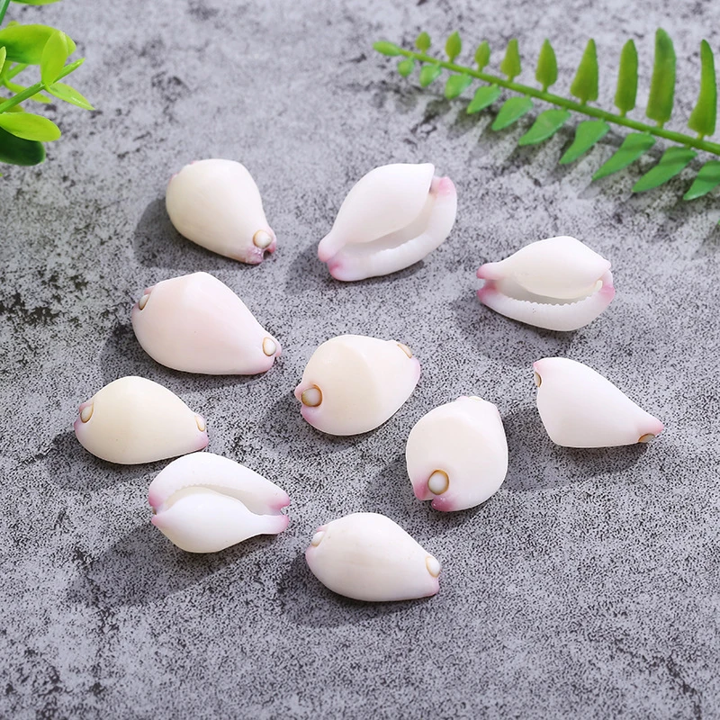 Natural Jade Rabbit Snail 2.5-3 cm Italian Shell Collection Specimen Cute beige pink Conch Shell 2pcs/lot