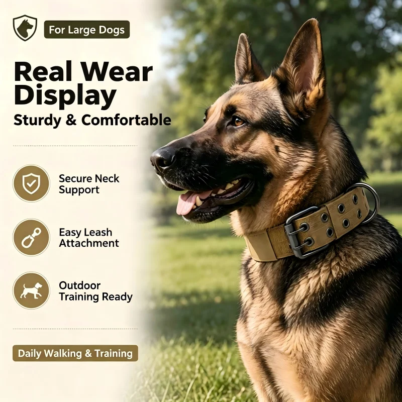 Taktisches Nylon-Hundehalsband mit Kontrollgriff, verdicktes, gepolstertes Halsband für kleine Hunde, Outdoor-Trainings-Leine-Set – Detail 9