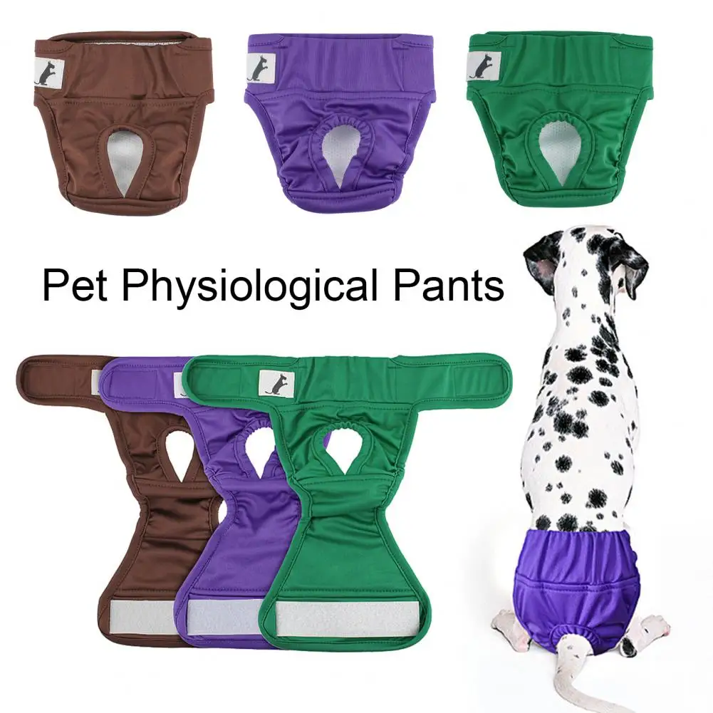 

Female Dog Shorts Pet Products Physiological Pants Dog Supplies For Small Meidium Size Dogs Puppy Diaper Pet Underwear