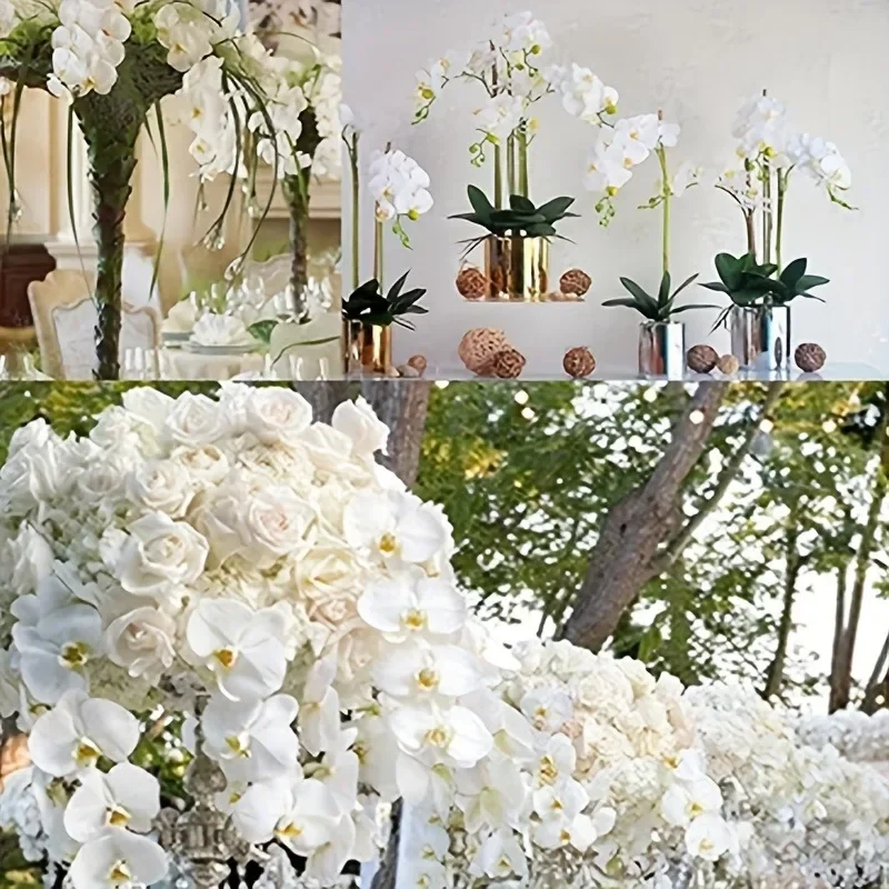 Thumbnail 3 - #25 Latest Vase Fillers Offers
