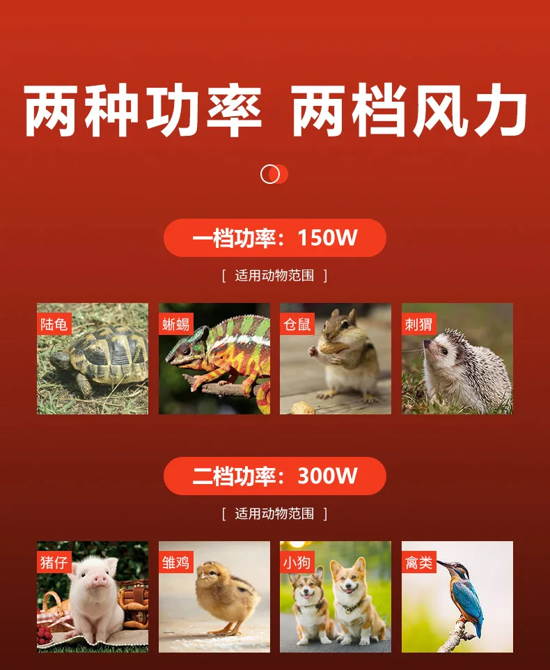 Haustierheizung, geräuschlose Isolierung, Licht...