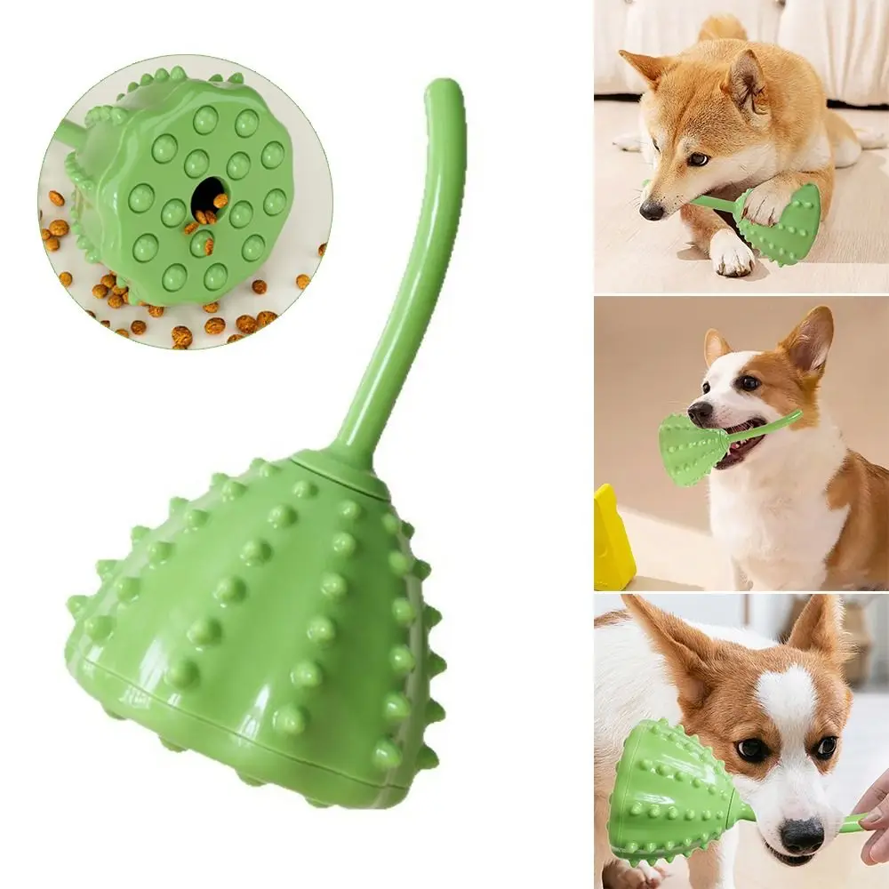 مثيرة للاهتمام لوتس Seedpod الحيوانات الأليفة وحدة التغذية البطيئة الكرة لدغة مقاومة تخفيف الملل التفاعلية الكلب الكلب مضغ جرو #5