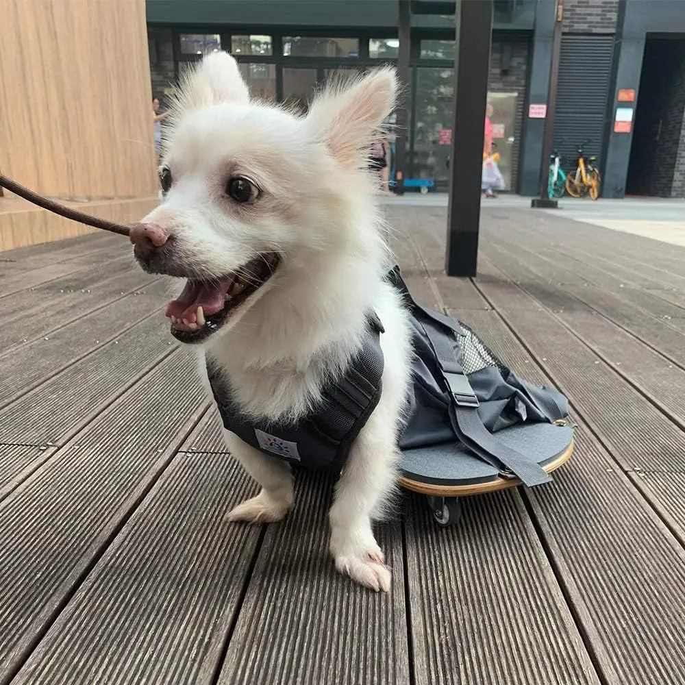 Scooter Wheelchair for Dogs with Rear Legs Paralysis Protects Chest and Limbs