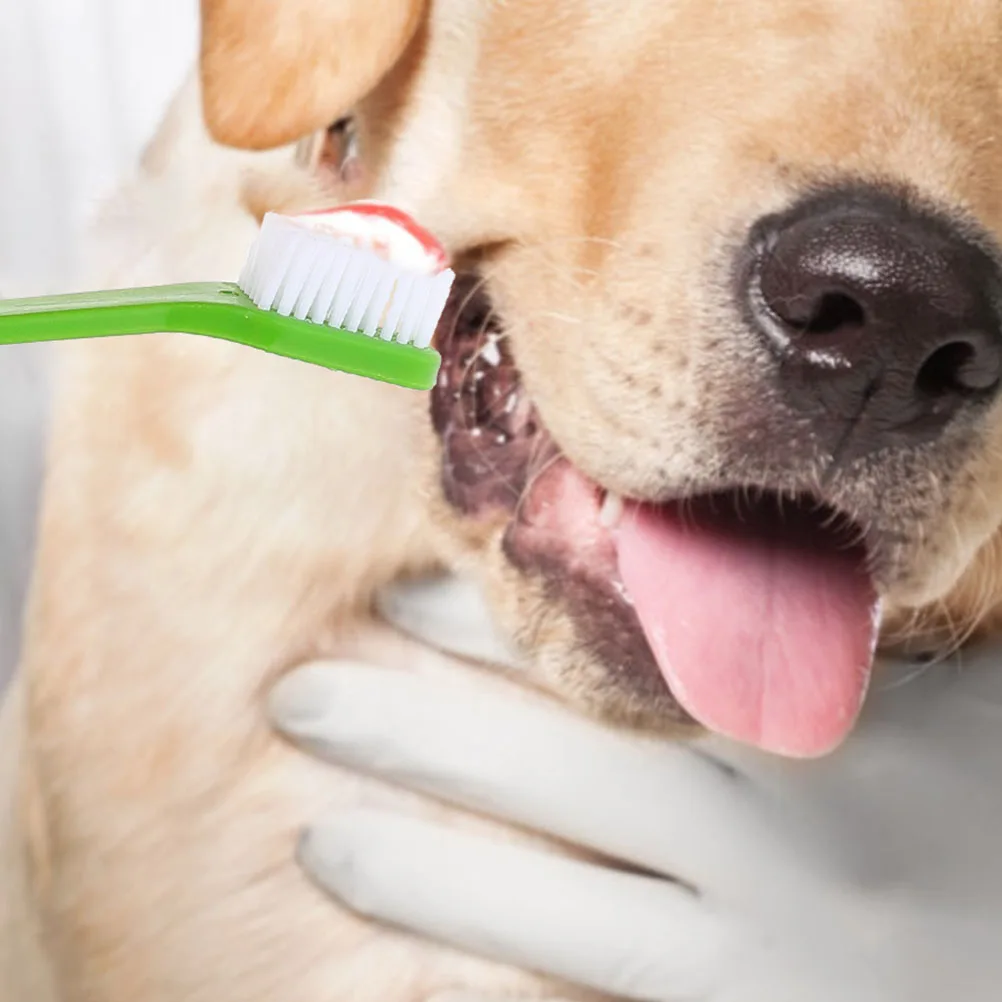 

12pcs Pet Toothbrush Double Head for Dogs Care Set PP Material Soft Bristles Small Large Breed Dental Cleaning Tool