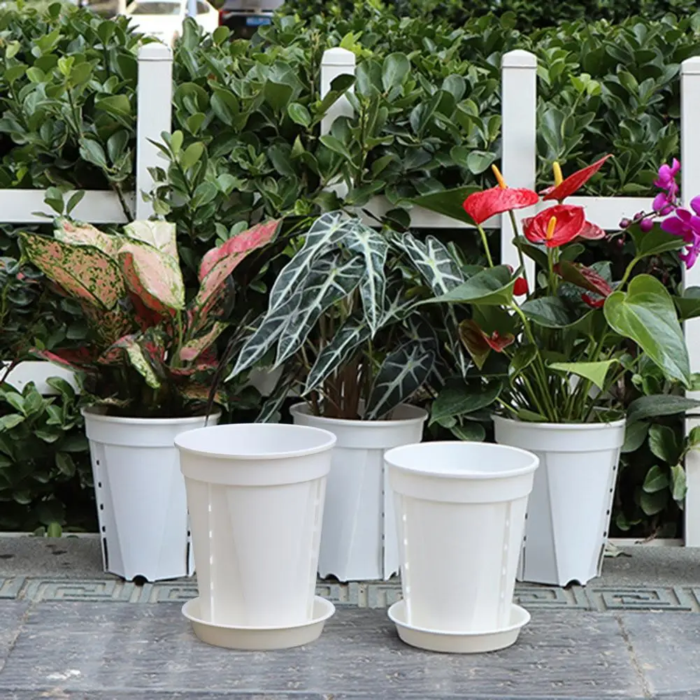 Orchid Pot with Ventilation Flowerpot for Phalaenopsis Orchid Pot with Saucer Drainage Holes Flowerpot with Side for Indoor