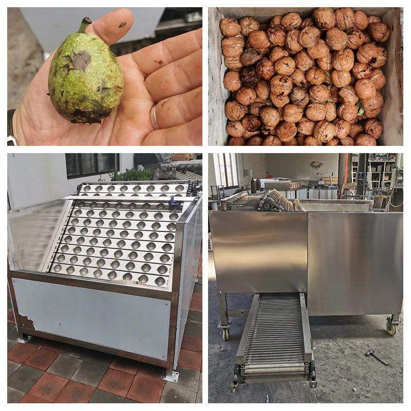 Machine à éplucher les noix automatique