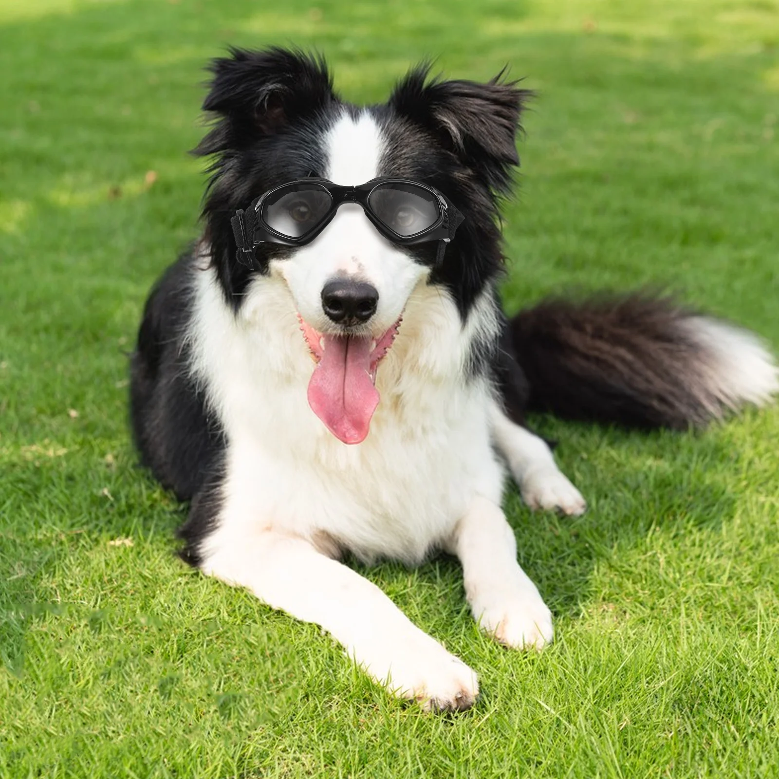 

Pet Sunglasses Foldable Small to Large Breeds Uv Protected Wind Rain Resistant Doggy Glasses Portable Travel