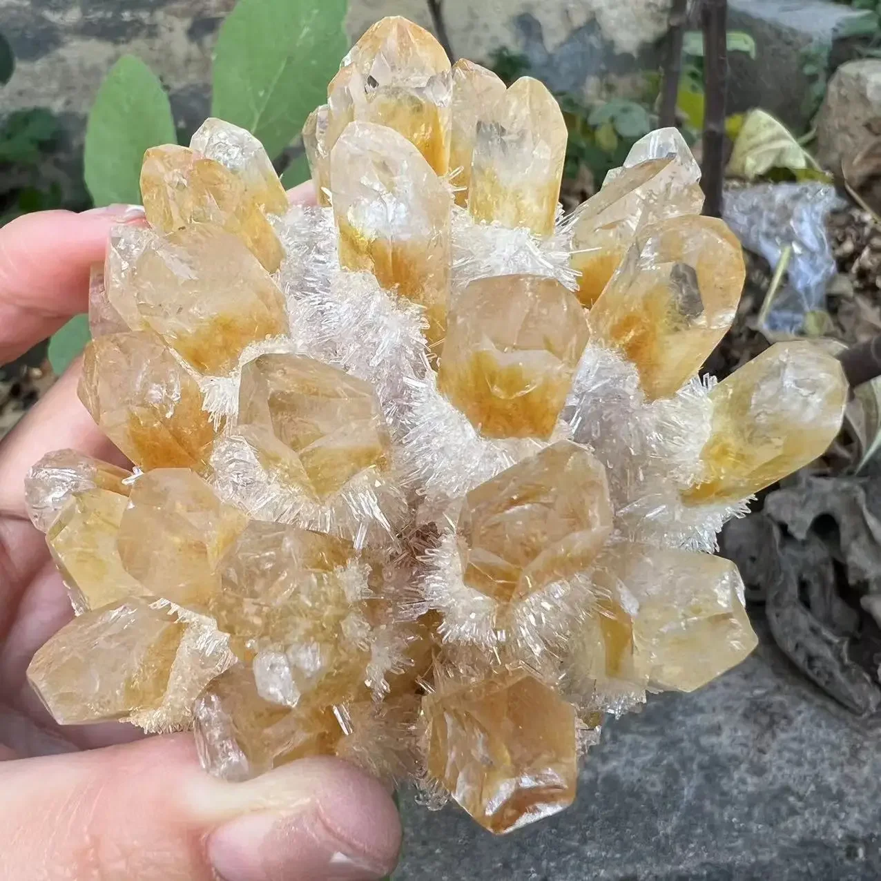 Natural Citrine Crystal Cluster yellow Quartz Cluster Healing yellow Raw Stones mineral Specimen Home Decoration