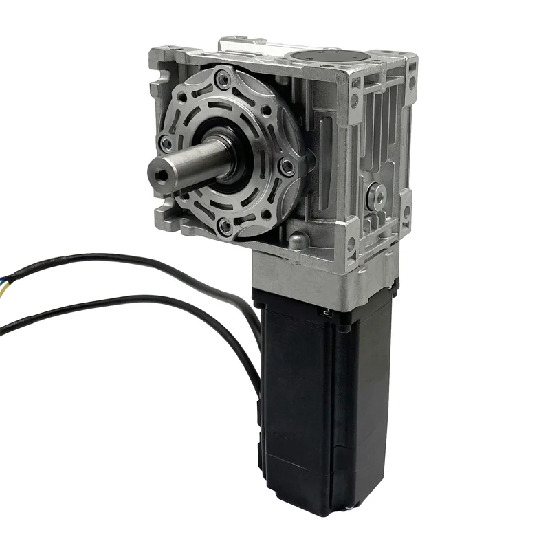 

Bldc Worm Gear Motor with Gearbox for Home Appliance Dc Brushless Motor Featuring Permanent Magnet Construction