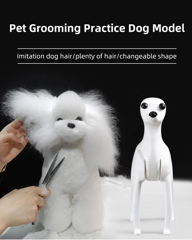 Teddy-Tierpflege-Simulationskopf mit Kunsthaar, Standard-Hundekopf für Beautician-Praxis, Ganzkörper-Skelettmodell, Tierpfleger-Übungskopf – Detail 1