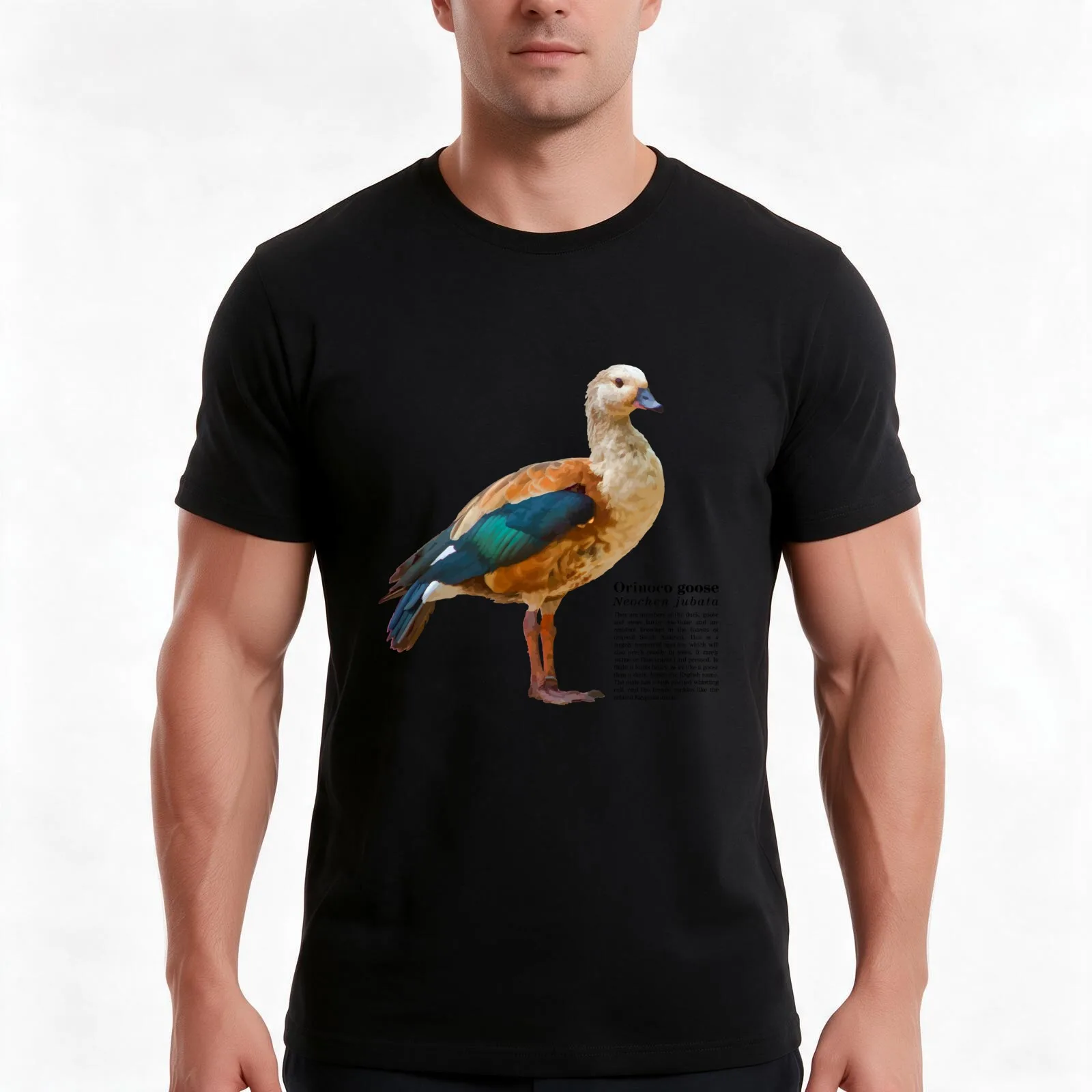 Orinoco goose bird on fresh grass T-Shirt, Summer Casual Cotton Tee, Oversized Streetwear Tops, Vintage Graphic Print