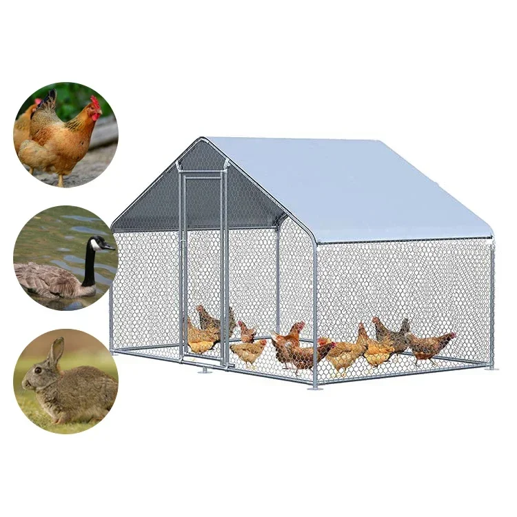 Large Metal Chicken…