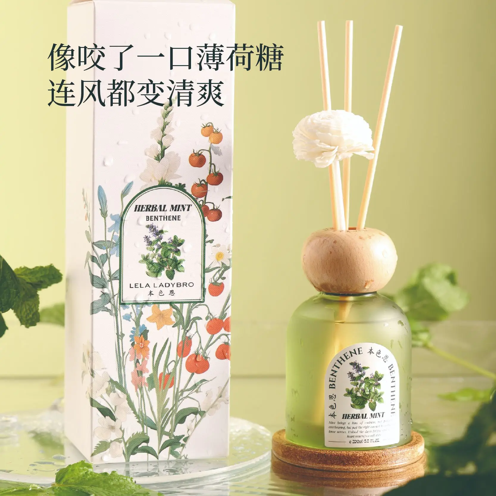 200ML Mint Perfumn Reed Difffuser Oils, Fresh Good Sleep Refresh Premium Office/Home Fragrance Air Freshener Long-lasting Gift