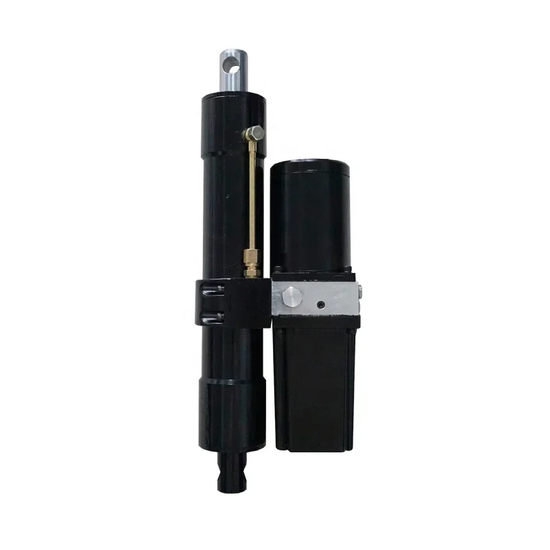 

200mm Stroke Electric Hydraulic Cylinder 10000N 12V 24V 300W Power Linear Actuator Waterproof Brush Permanent Magnet Boat Use