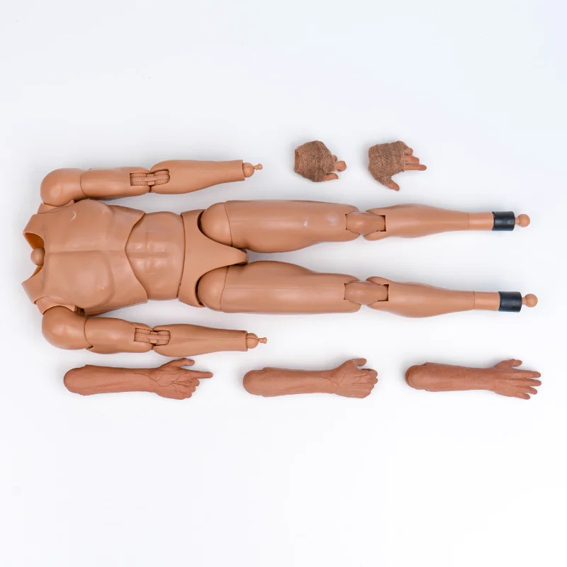 present-toys-pt-sp56-modelo-de-cuerpo-de-soldado-ranger-de-la-naturaleza-a-escala-1-6