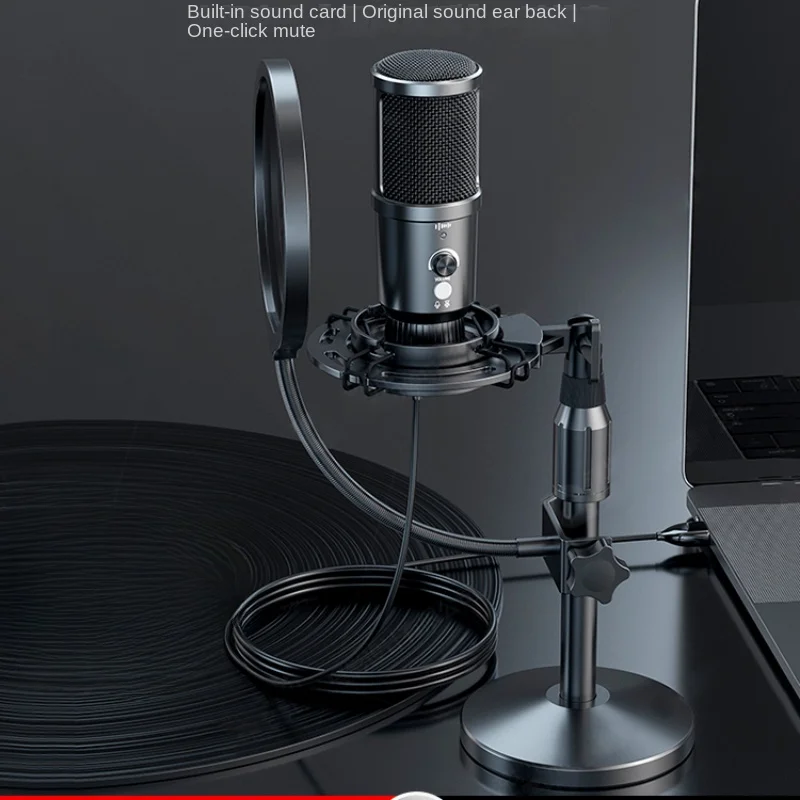 Microphone Recording Professional Audio Book Dubbing Special Equipment Condenser Mic Computer Cellphone Radio Microphone Suit