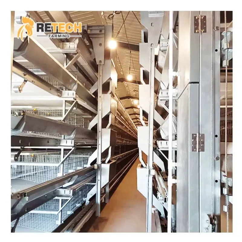 

Automatic Egg Laying Cage Equipment for Poultry Farm for Battery Layer Chicken Cage for Sales for Egg Layer