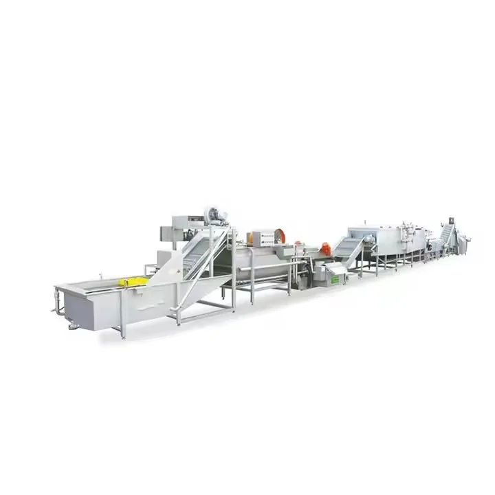 Timer Controlled Ozone Fruit Vegetable Washer for Bakery Raw Fruit Washing Remove Surface Dirt