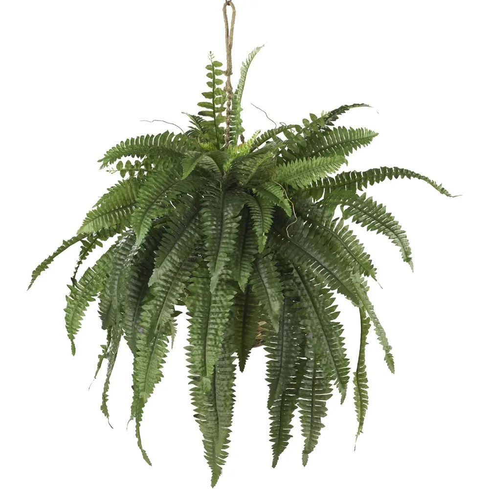 

6774 22in. Large Boston Fern Hanging Basket,Green