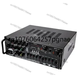 High Power Household Power Amplifier 12V/220V Bluetooth EQ Equalizer Car Outdoor Karaoke Dual-Use