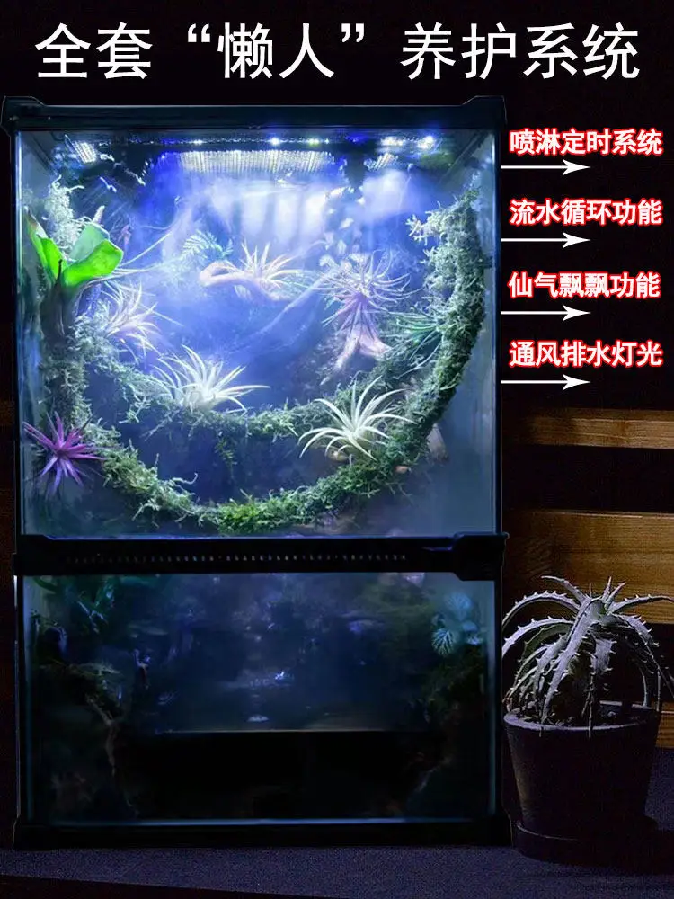 ecological tank plant landscaping full set of finished products desktop moss green plants micro landscape bonsai ornament