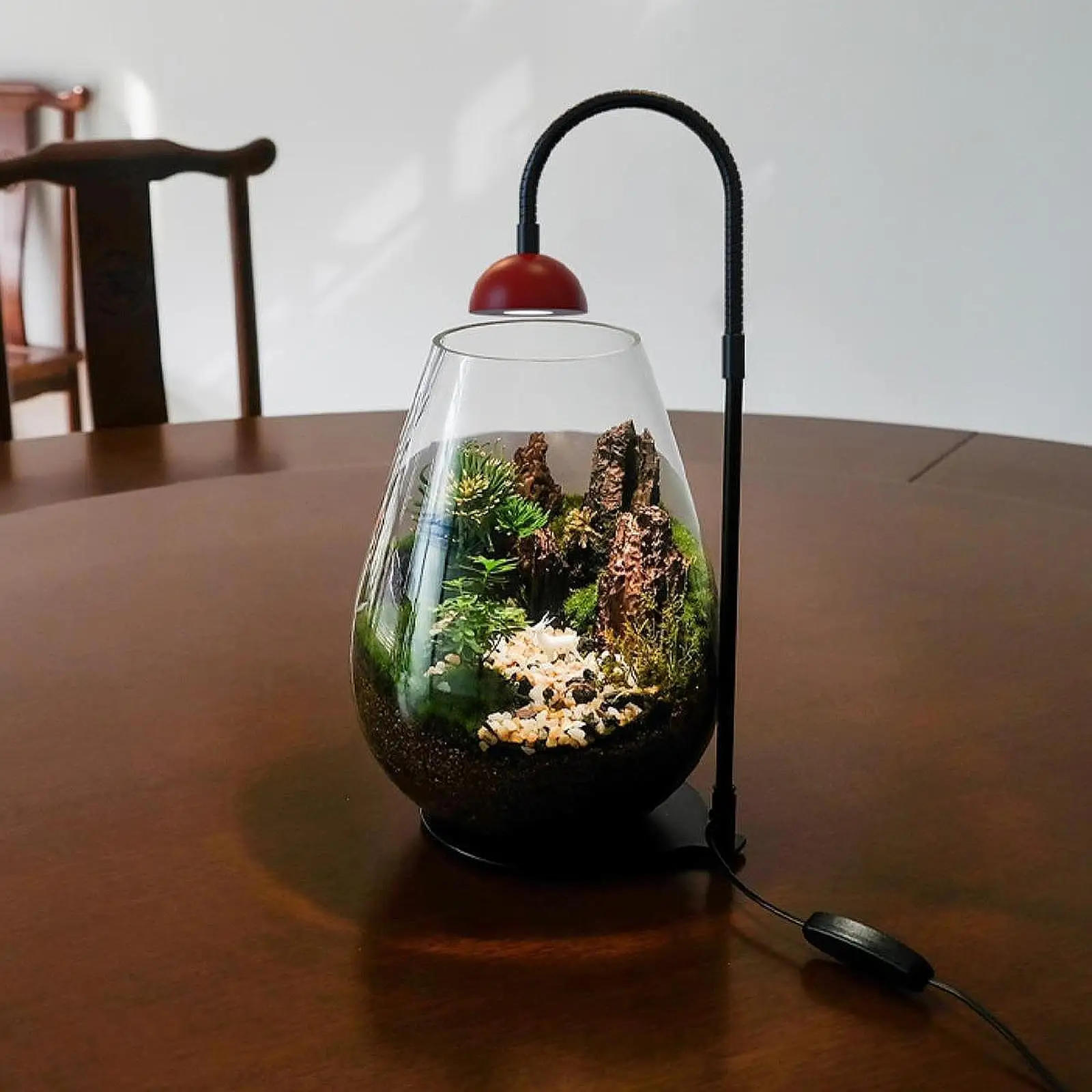 屋内植物ライト デスクトップライト 卓上植物ライト デスクトップ植物用