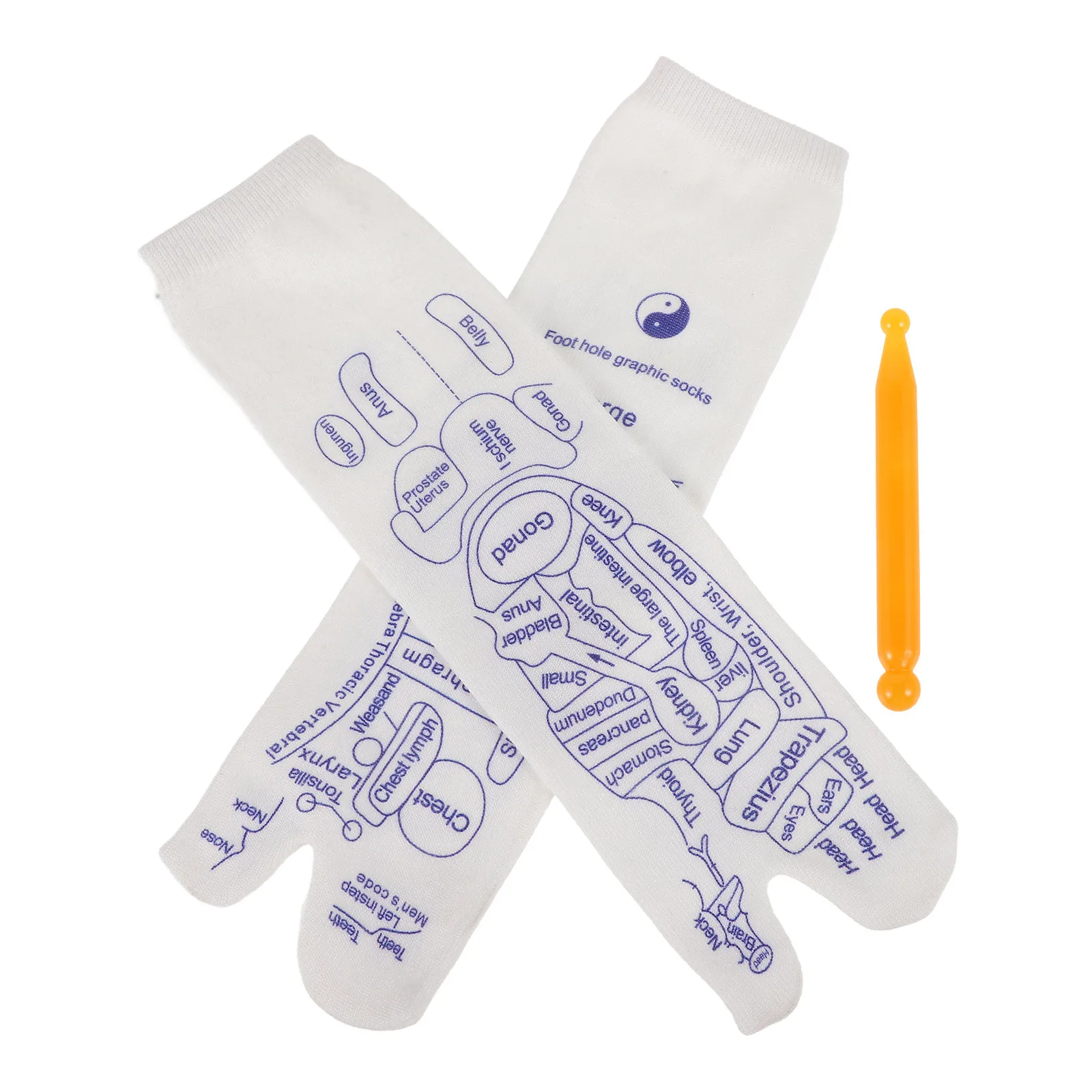 

1Set Foot Massage Socks Elastic Acupressure Socks with Clear Acupoint Prints Stimulating Plantar Reflexology for Fatigue Relief