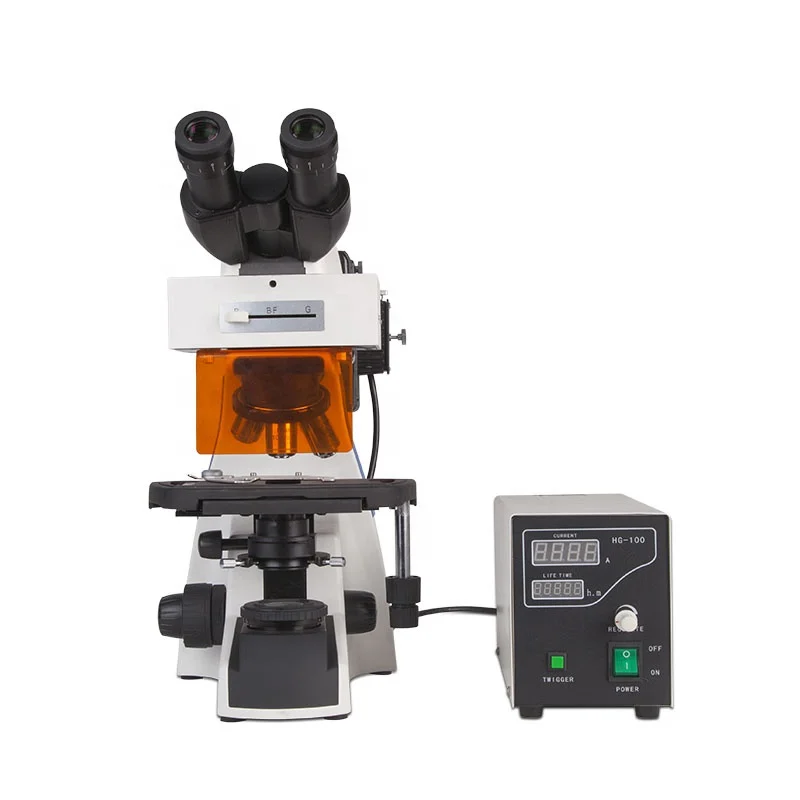 LED Binocular Fluorescence Microscope Infinite Plan Microscope(BM-2000IFB)