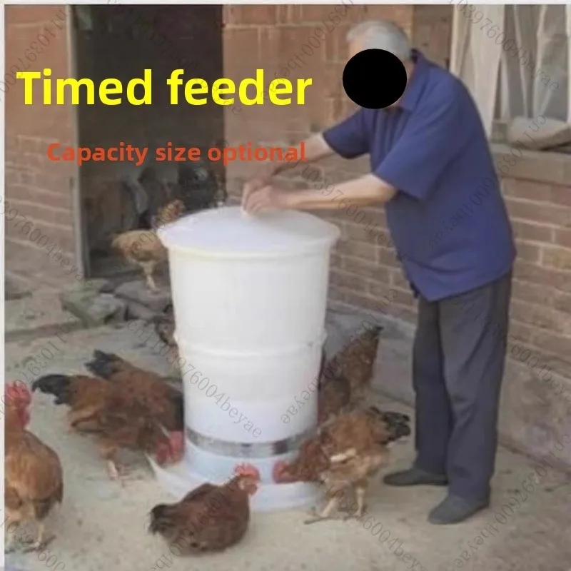 

Automatic chicken feeder, fully automatic feeding machine, regular household feeding electric