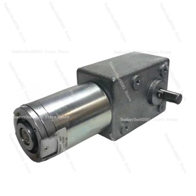 

DC geared motor 600 double shaft worm gear geared motor