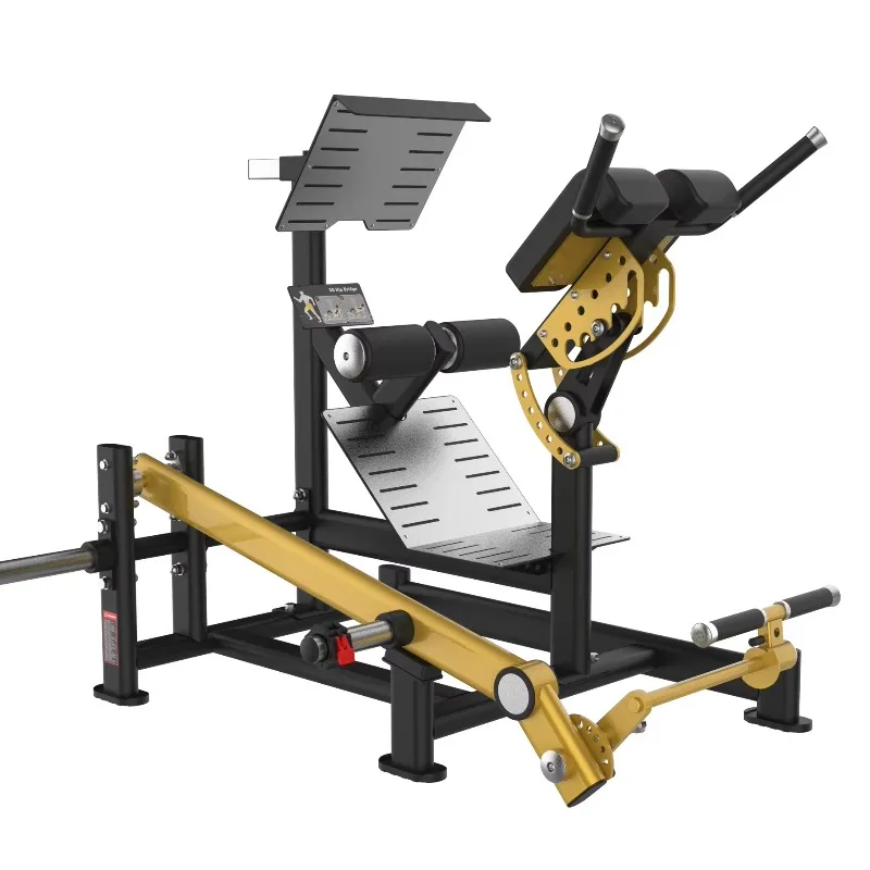 Commercial Fitness Equipment Adjustable Metal Roman Chair Bench with Back Stretch Frame for Bodybuilder Goat Lift Training