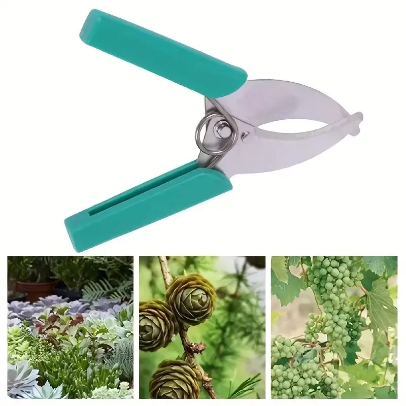 

1 шт., садовый нож для привязки фруктовых деревьев, ножницы для придания рассады, нож для придания винограда, резак для кори, садовый сад, цитрусовый пояс