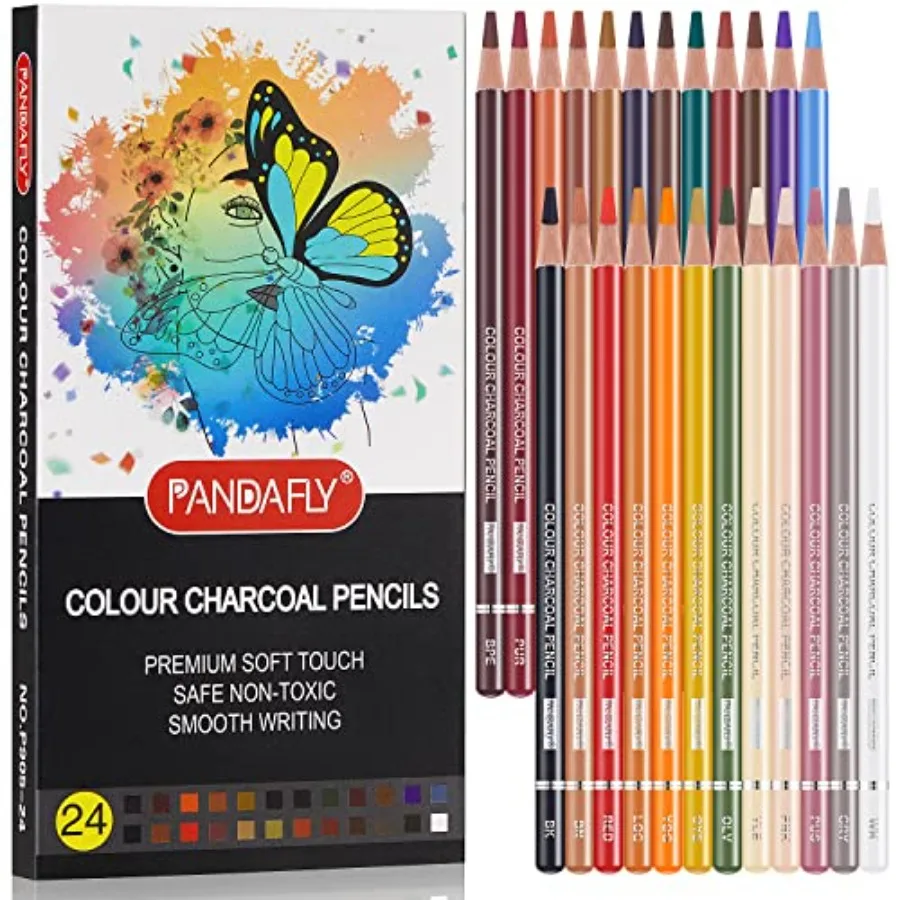 

Professional Colored Charcoal Pencils Drawing Set, Skin Tone Colored Pencils, Pastel Chalk Pencils for Sketching, Shading, Colo