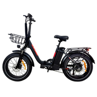 BAOLUJIE DZ2030 Electric Bike 20*4.0 inch Fat Tire E-Bike 500W Motor 48V 13Ah 40km/h Max Speed 35-45km Range Disc Brake