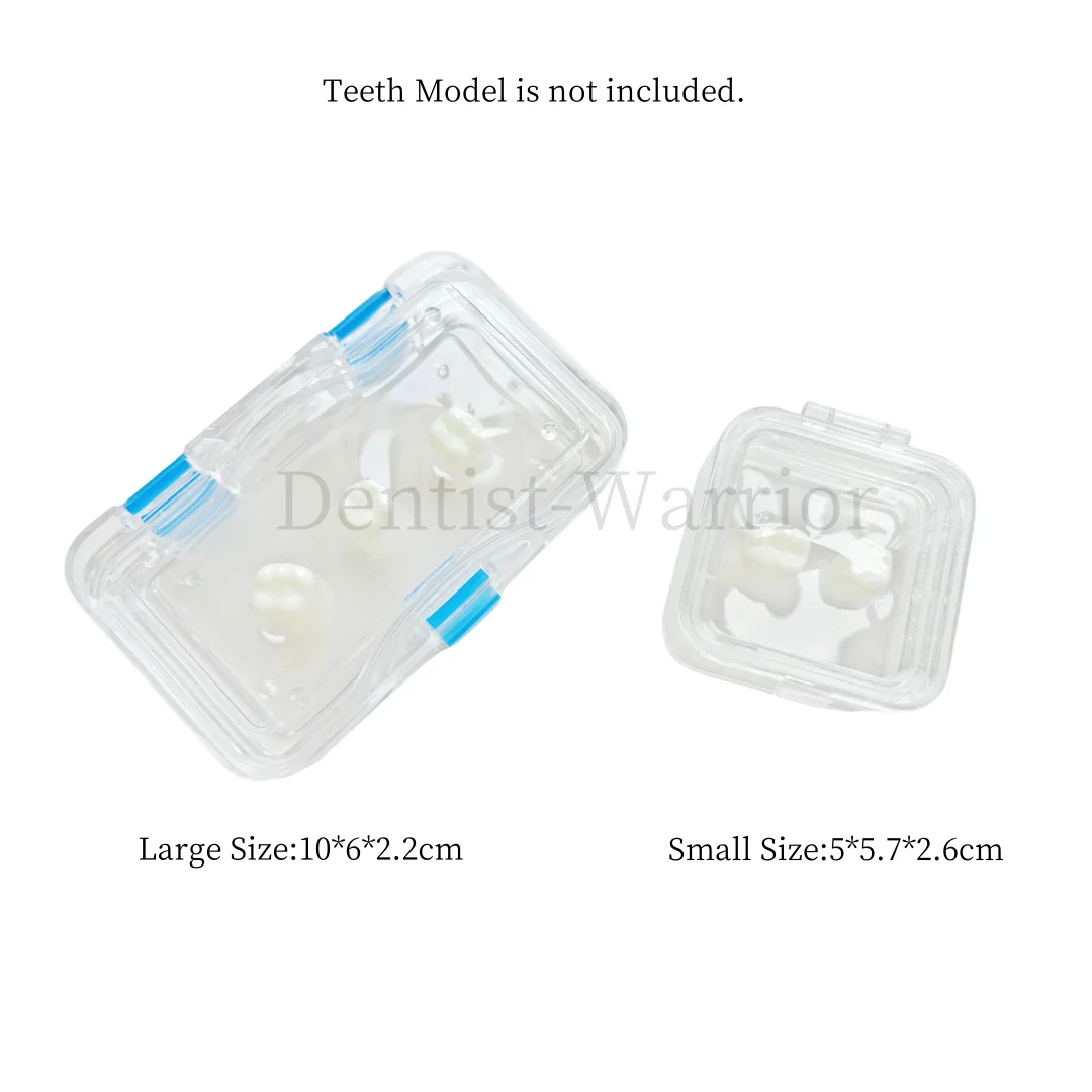 Denture Cases Dental Veneers Hinged Display Jewelry Storage Box Transparent Material Inside Membrane  ﻿