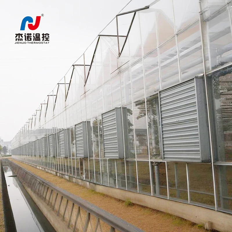 50 Inch Axial Flow Fan From China