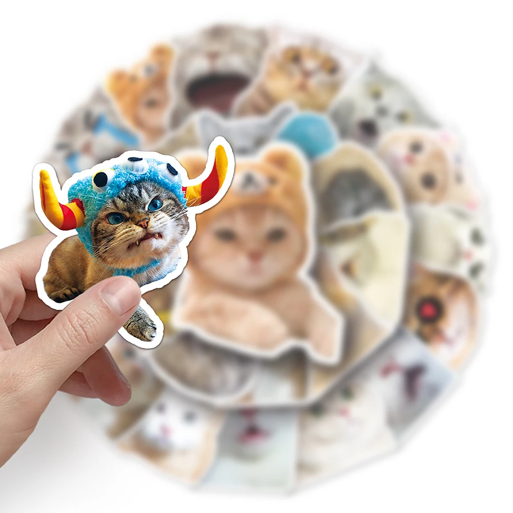 

10/30/50pcs Cat Animal Cartoon Stickers Classic Meme Decals Diary Scrapbooking Water Bottle Phone Skateboard Toy Sticker for Kid