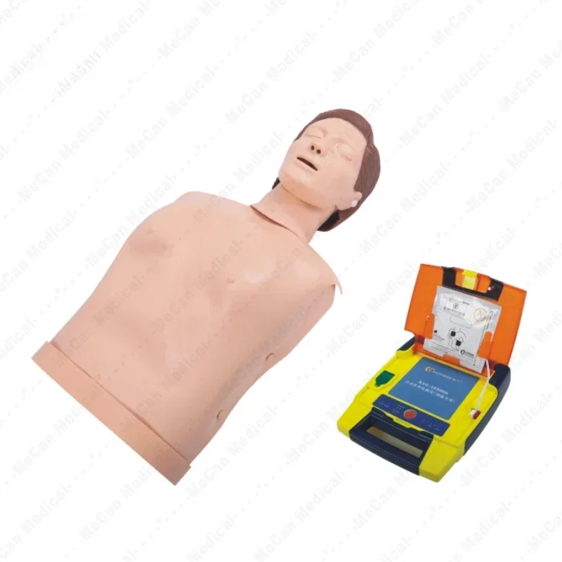 Half Body Cpr Doll Model Mannequins Manikin  Training  Dummy for First Aid