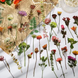 30pcs Pick Flower Leave Make Herbarium Style PVC Sticker Scrapbooking DIY Gift Packing Seal Label Decoration Tag