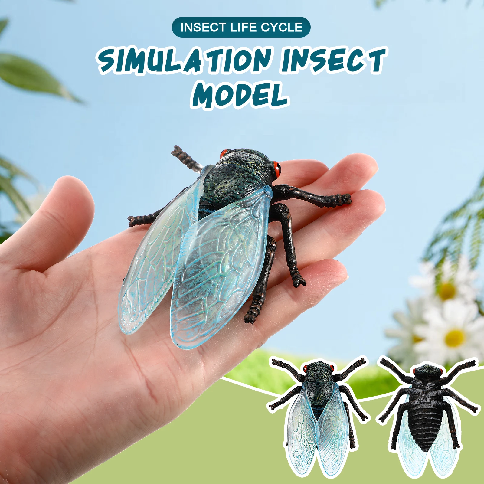 Educação científica brinquedos cognitivos cicada ciclo de vida estatuetas modelos de insetos realistas materiais seguros design resistente usos versáteis