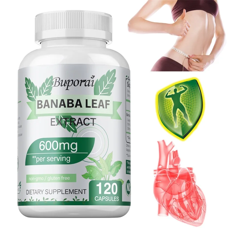 

Banaba Leaf Extracts - Supports Overall Health, Boosts Metabolism, Increases Energy Levels, Gluten-free, Non-GMO