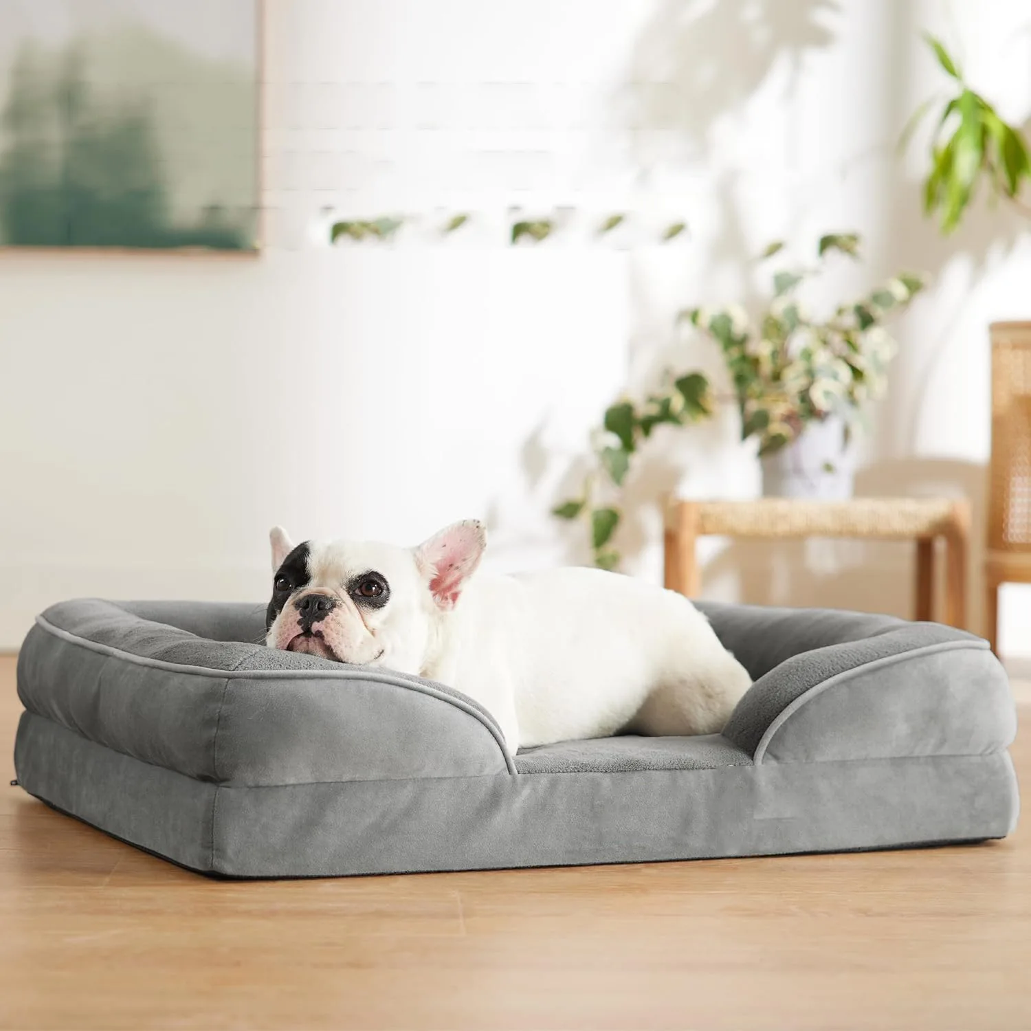 

Soft Short Plush Dog Sofa Bed, Removable Washable Cover, Orthopedic Pet Couch for Small/Medium/Large Dogs, Non-Slip Bottom, Grey