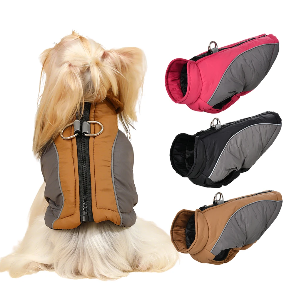 #10 Trending Waterproof Puppy Jackets Right Now