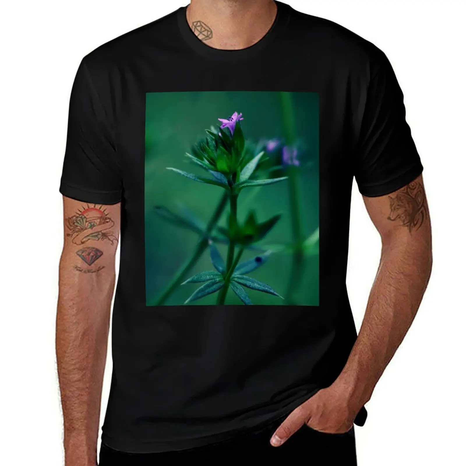 

Moody Blue Field-Madder (Sherardia arvensis) T-Shirt man t shirt affliction shirts plain white t shirts men