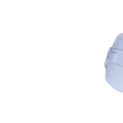 2.4G Remote DC Ceiling Fan DC Inverter Motor Energy Efficient Variable Fan Receiver Included Energy Efficient Fan Light